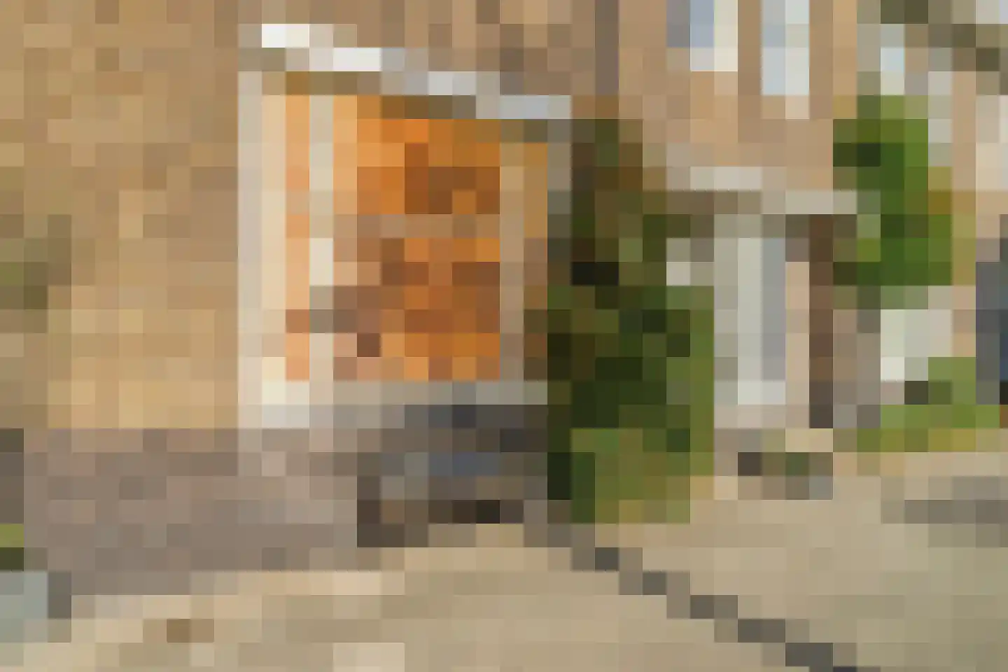 Schubertstraat 64 Amsterdam thumbnail 60