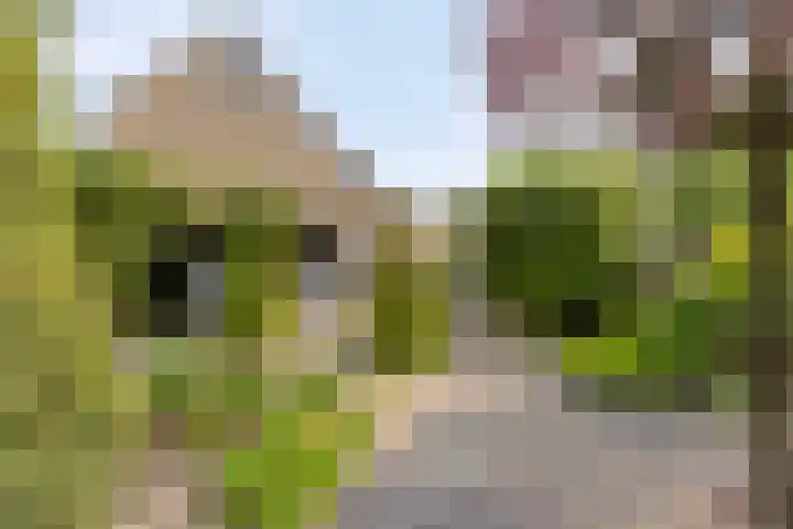 Schubertweg 11 Veenendaal thumbnail 4