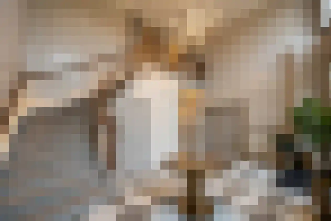 Schuddebeursdijk 2 Hekelingen thumbnail 13