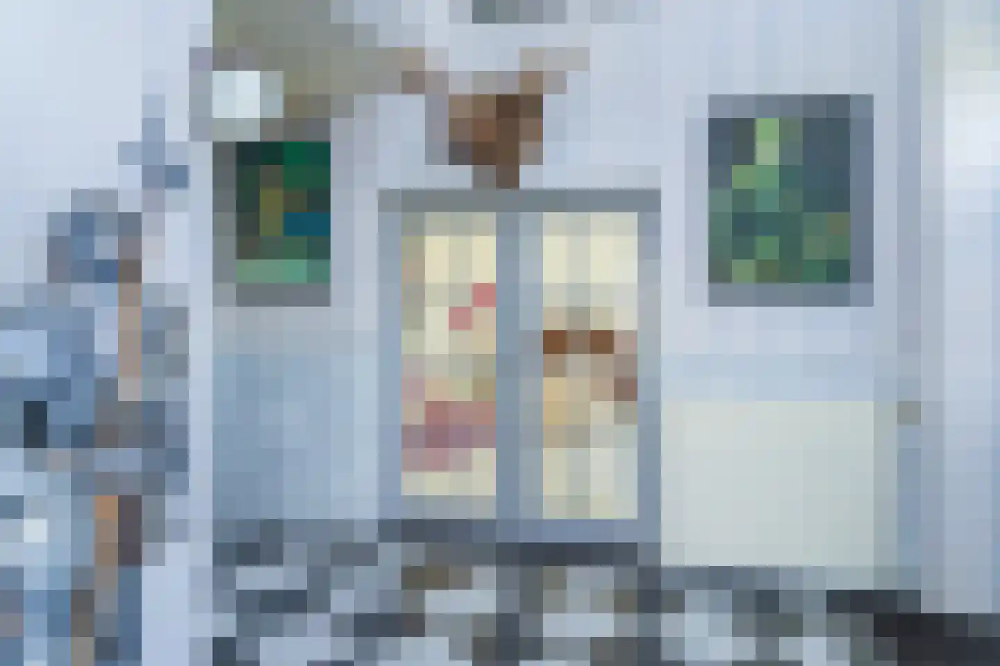 Schuddebeursdijk 2 Hekelingen thumbnail 15