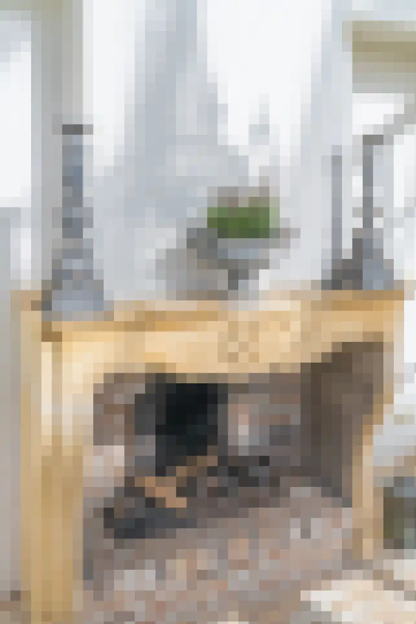 Schuddebeursdijk 2 Hekelingen thumbnail 24