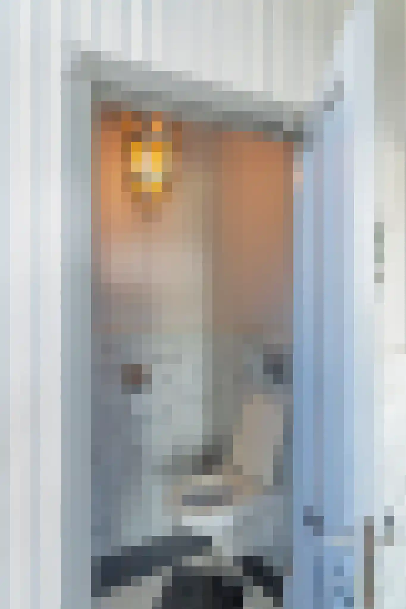 Schuddebeursdijk 2 Hekelingen thumbnail 34