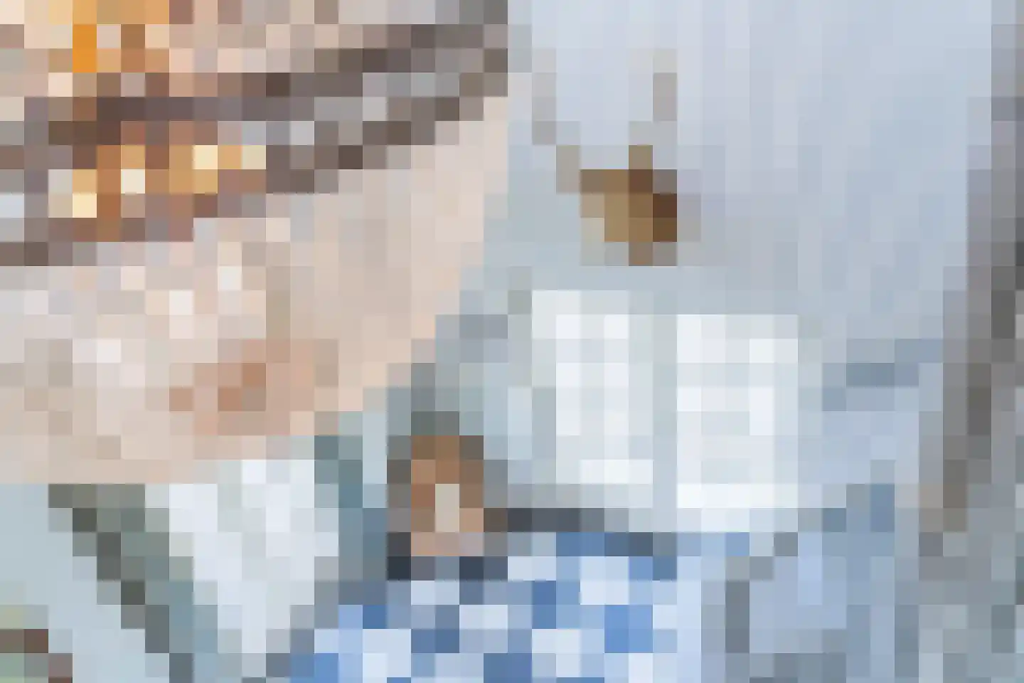 Schuddebeursdijk 2 Hekelingen thumbnail 37