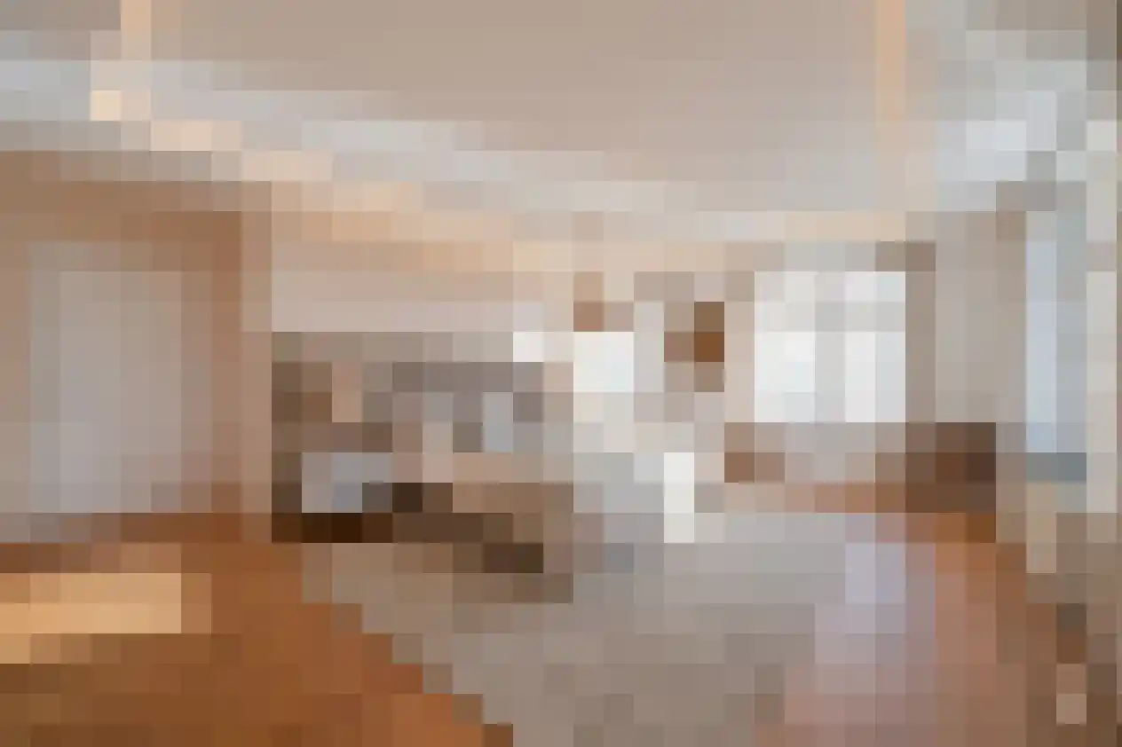 Schuddebeursdijk 2 Hekelingen thumbnail 38