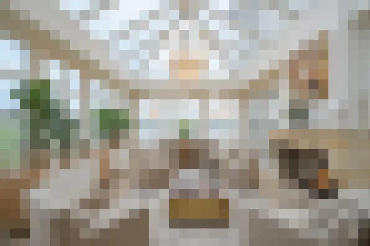 Schuddebeursdijk 2 Hekelingen thumbnail 4