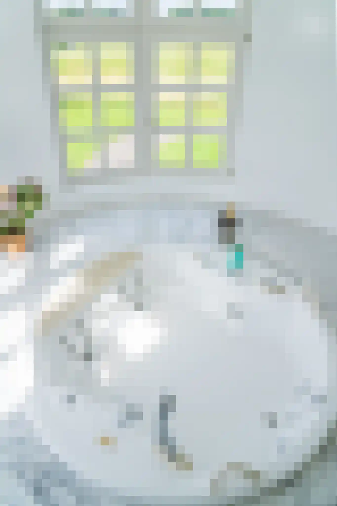 Schuddebeursdijk 2 Hekelingen thumbnail 46