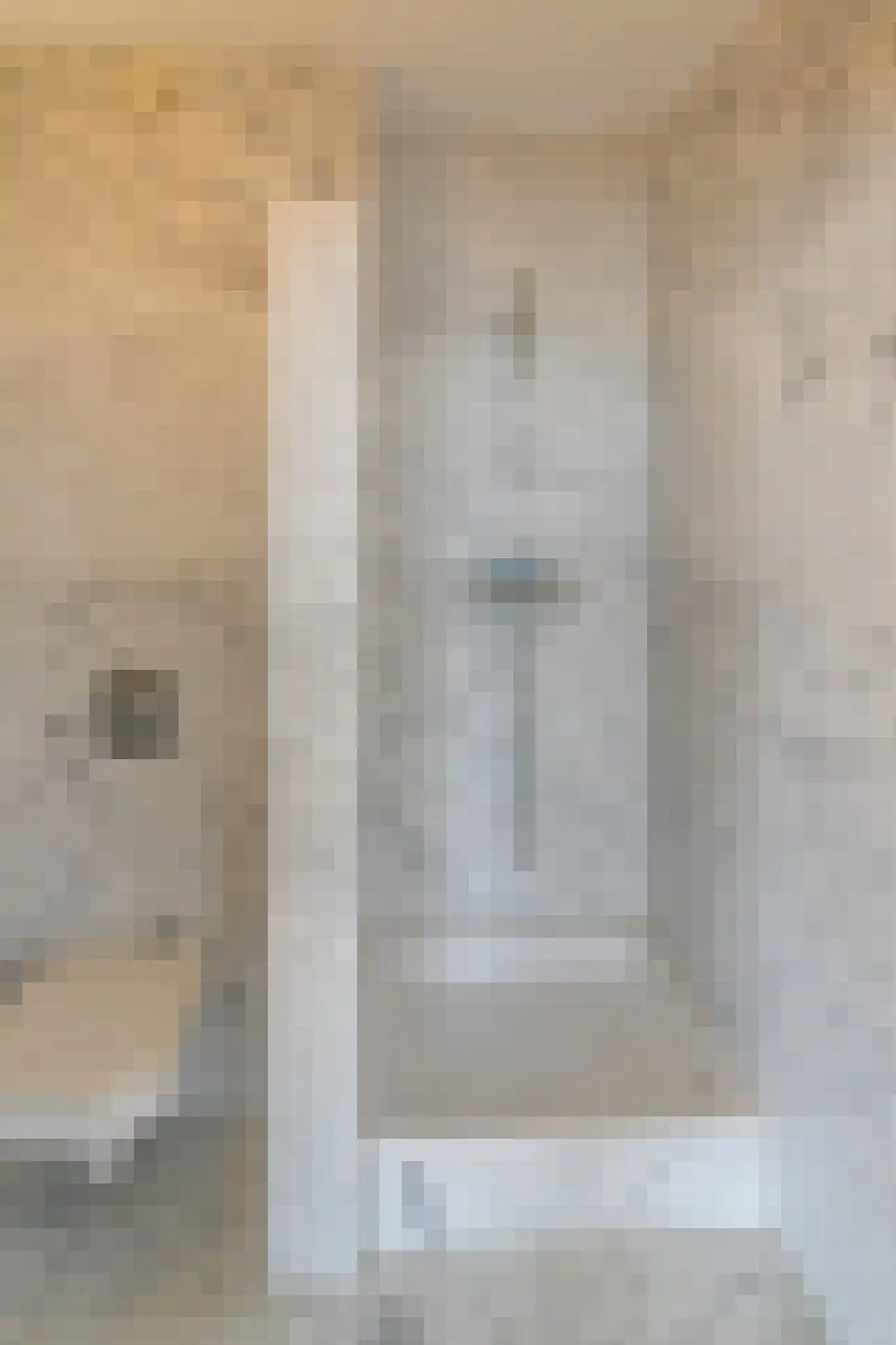 Schuddebeursdijk 2 Hekelingen thumbnail 50