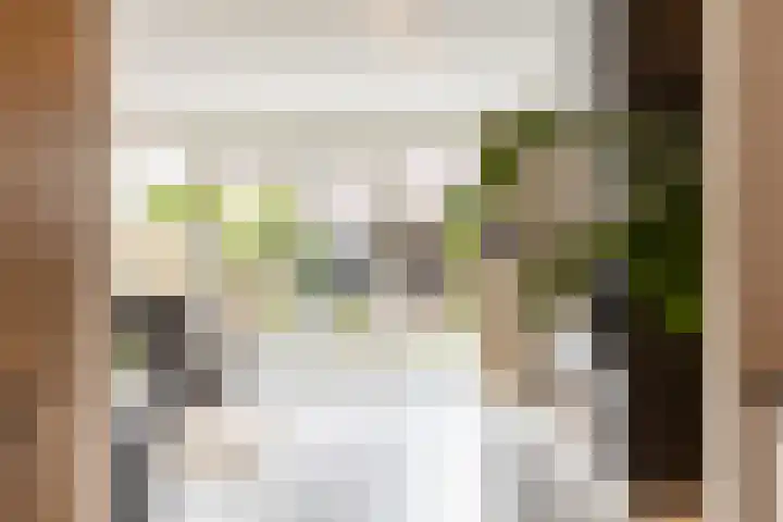 Schuddebeurslaan 16 Moordrecht thumbnail 17