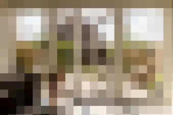 Schuddebeurslaan 16 Moordrecht thumbnail 21