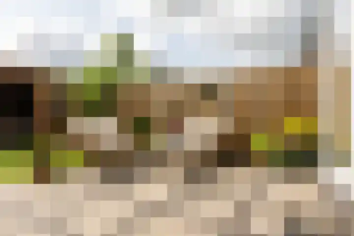 Schuddebeurslaan 16 Moordrecht thumbnail 23