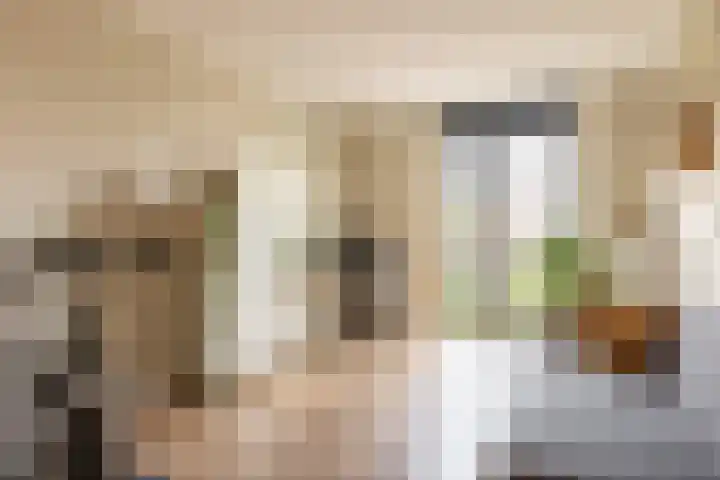 Schuddebeurslaan 16 Moordrecht thumbnail 33