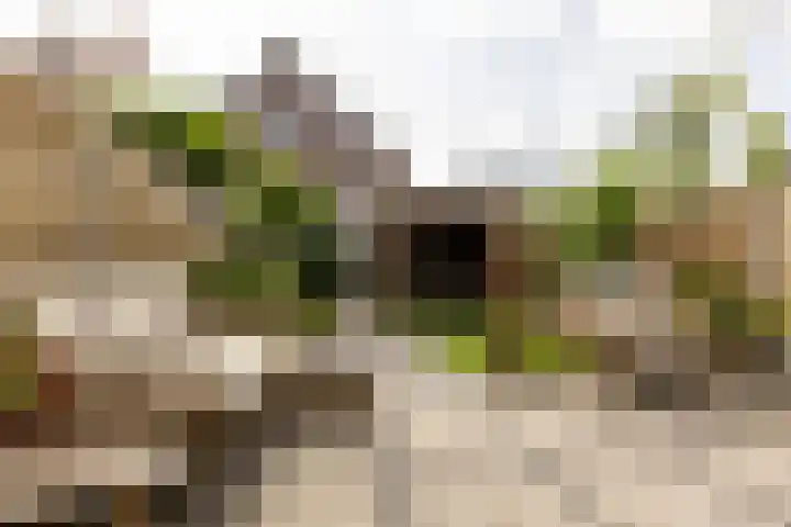 Schuddebeurslaan 16 Moordrecht thumbnail 45