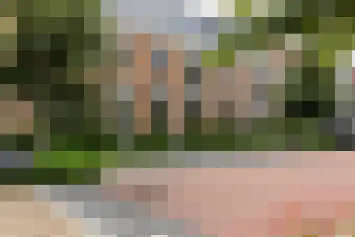 Schuddebeurslaan 16 Moordrecht thumbnail 6