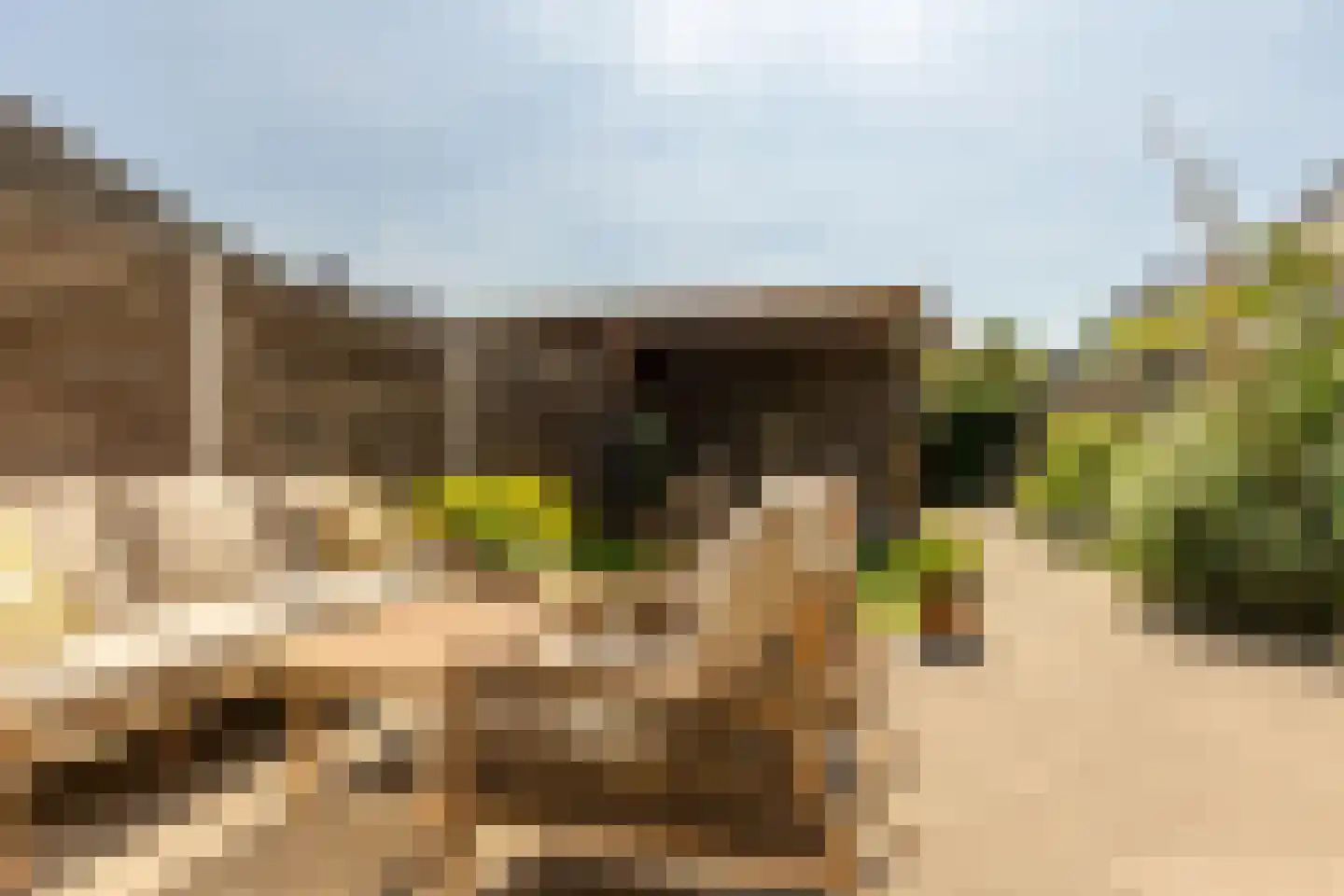 Schuddebeurslaan 26 Moordrecht thumbnail 20