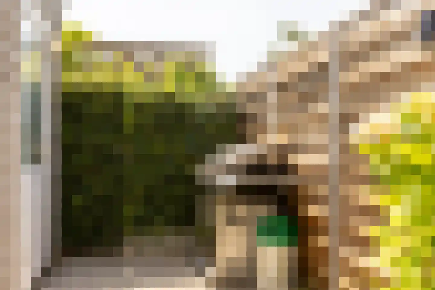 Schuddebeurslaan 26 Moordrecht thumbnail 40