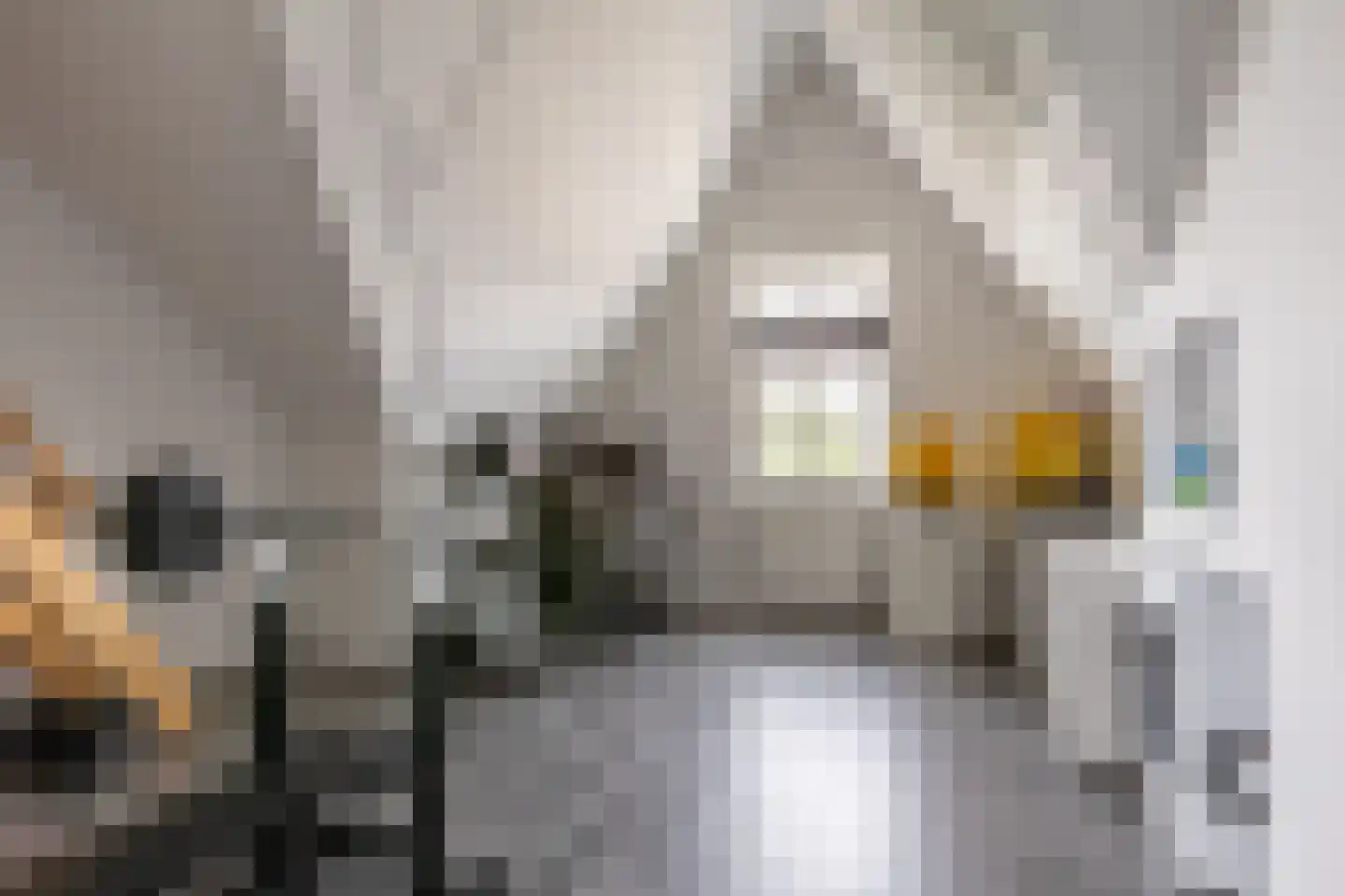 Schuddebeurslaan 63 Moordrecht thumbnail 37