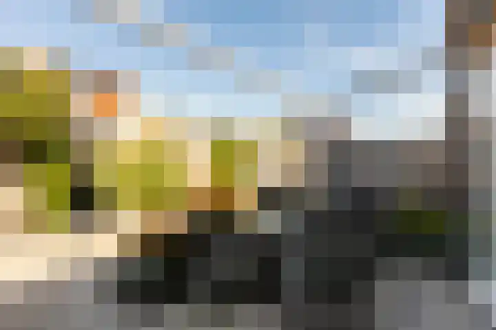 Schuddebeurslaan 83 Moordrecht thumbnail 49