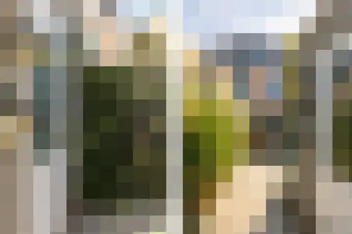 Schuddebeurslaan 83 Moordrecht thumbnail 53