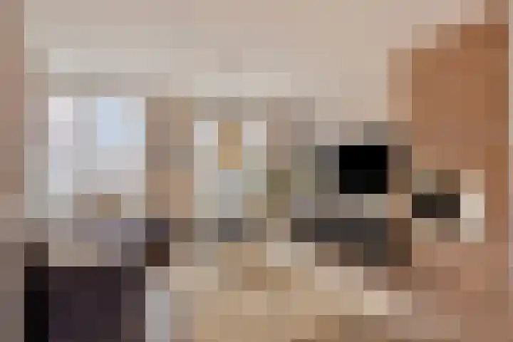 Schuddebeursstraat 112 Zoetermeer thumbnail 27