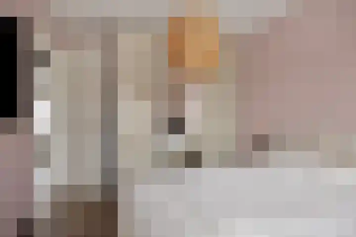 Schuddebeursstraat 112 Zoetermeer thumbnail 36
