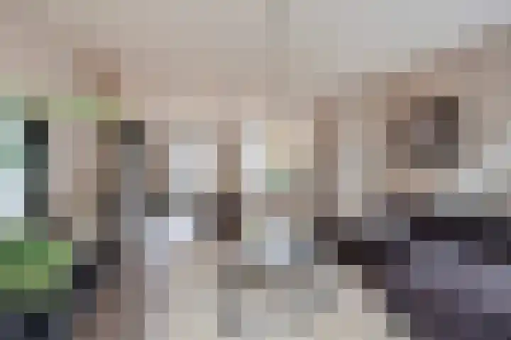 Schuddebeursstraat 112 Zoetermeer thumbnail 4