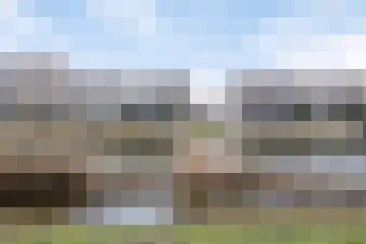 Schuddebeursstraat 112 Zoetermeer thumbnail 50
