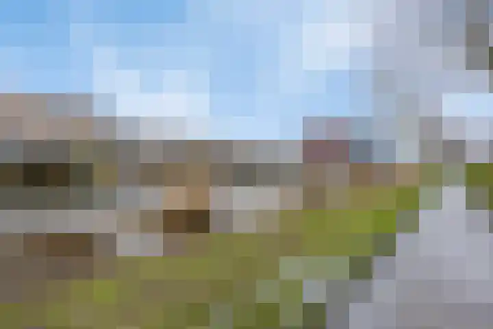 Schuddebeursstraat 112 Zoetermeer thumbnail 51