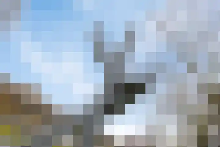 Schuddebeursstraat 112 Zoetermeer thumbnail 53