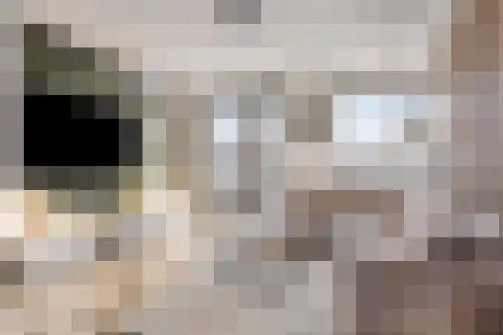 Schuddebeursstraat 198 in Zoetermeer