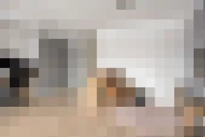 Schuddebeursstraat 198 Zoetermeer thumbnail 12