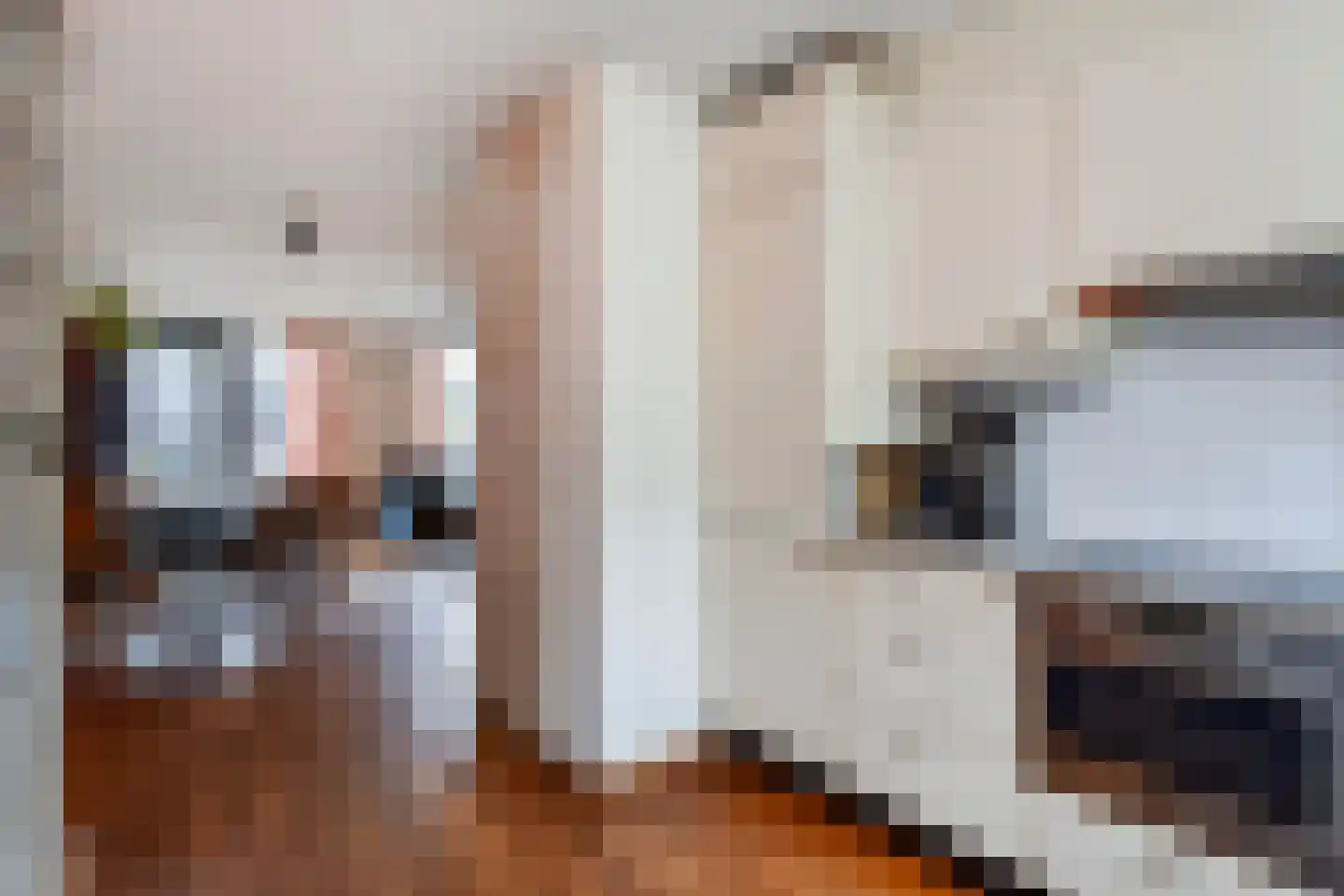 Schuddebeursstraat 25 Zoetermeer thumbnail 10