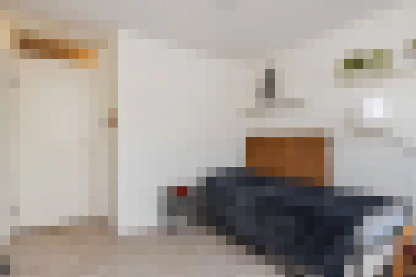 Schuddebeursstraat 25 Zoetermeer thumbnail 18