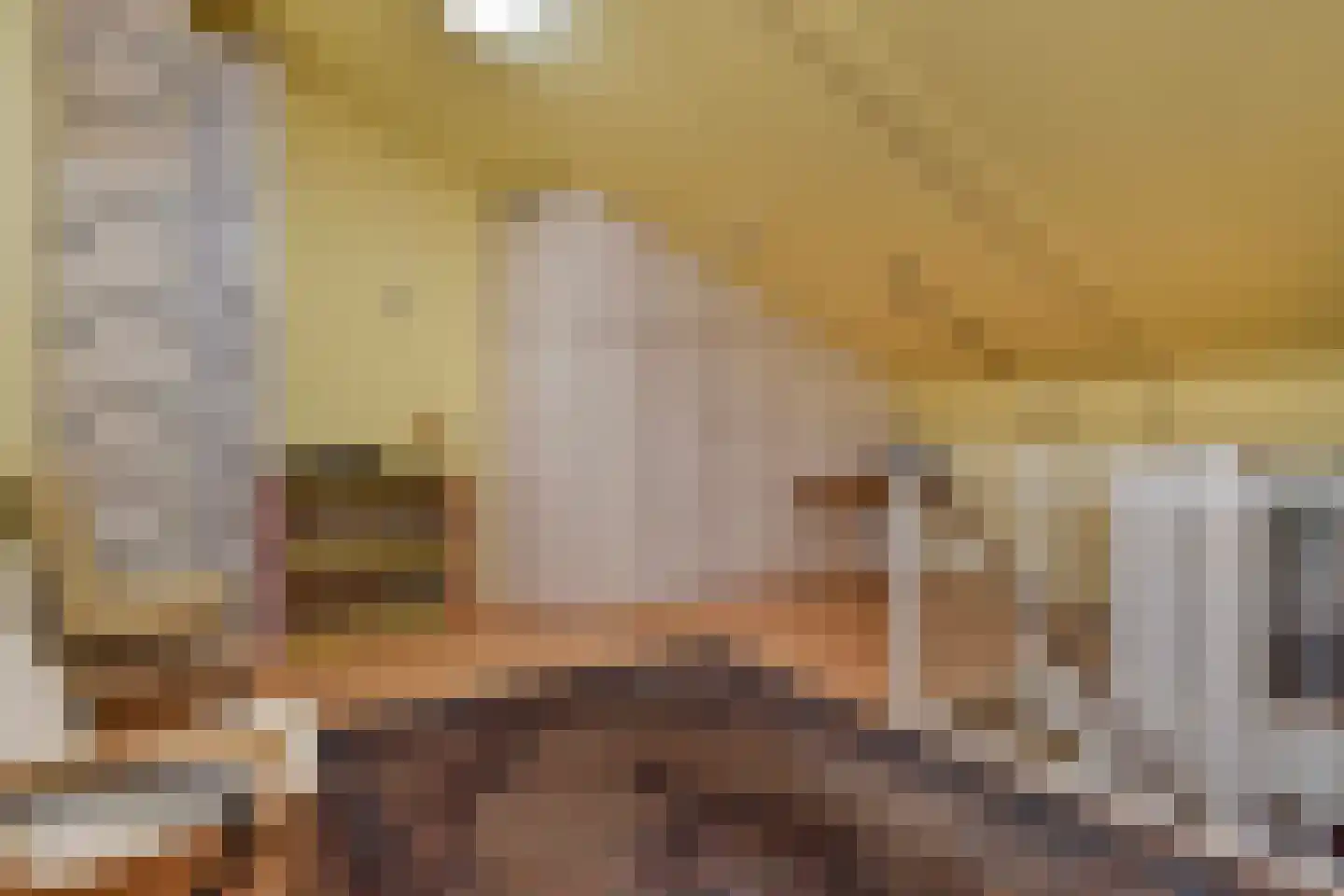 Schuddebeursstraat 25 Zoetermeer thumbnail 25