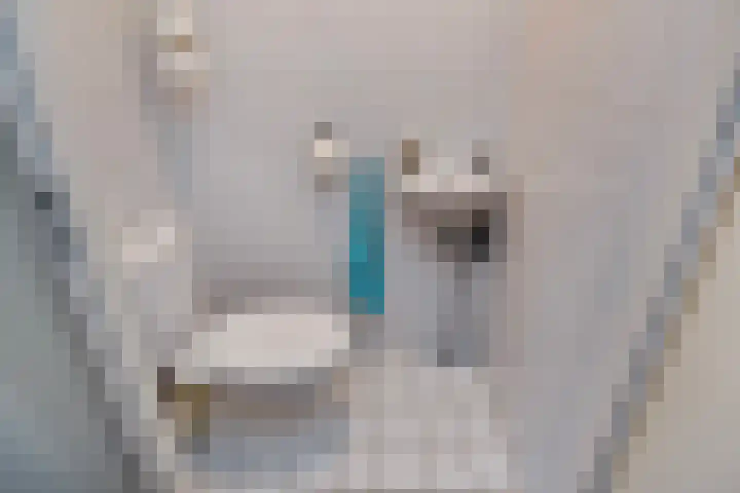 Schuddebeursstraat 25 Zoetermeer thumbnail 7