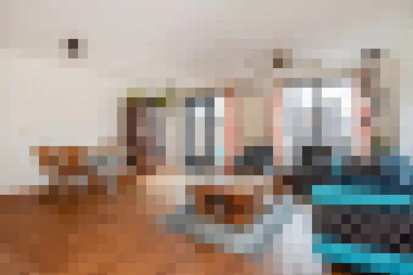 Schuddebeursstraat 25 Zoetermeer thumbnail 9