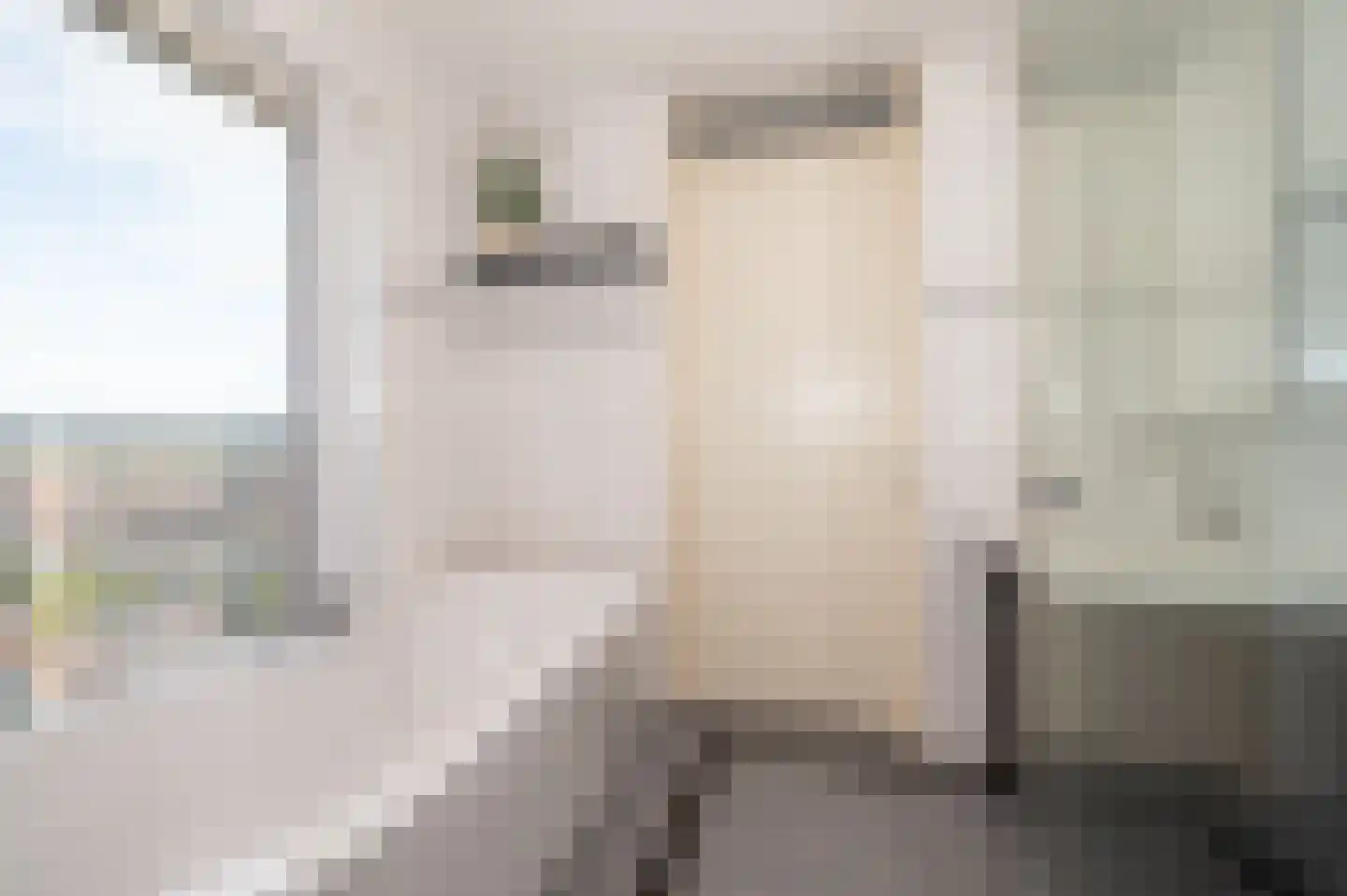 Schuddebeursstraat 310 Zoetermeer thumbnail 18