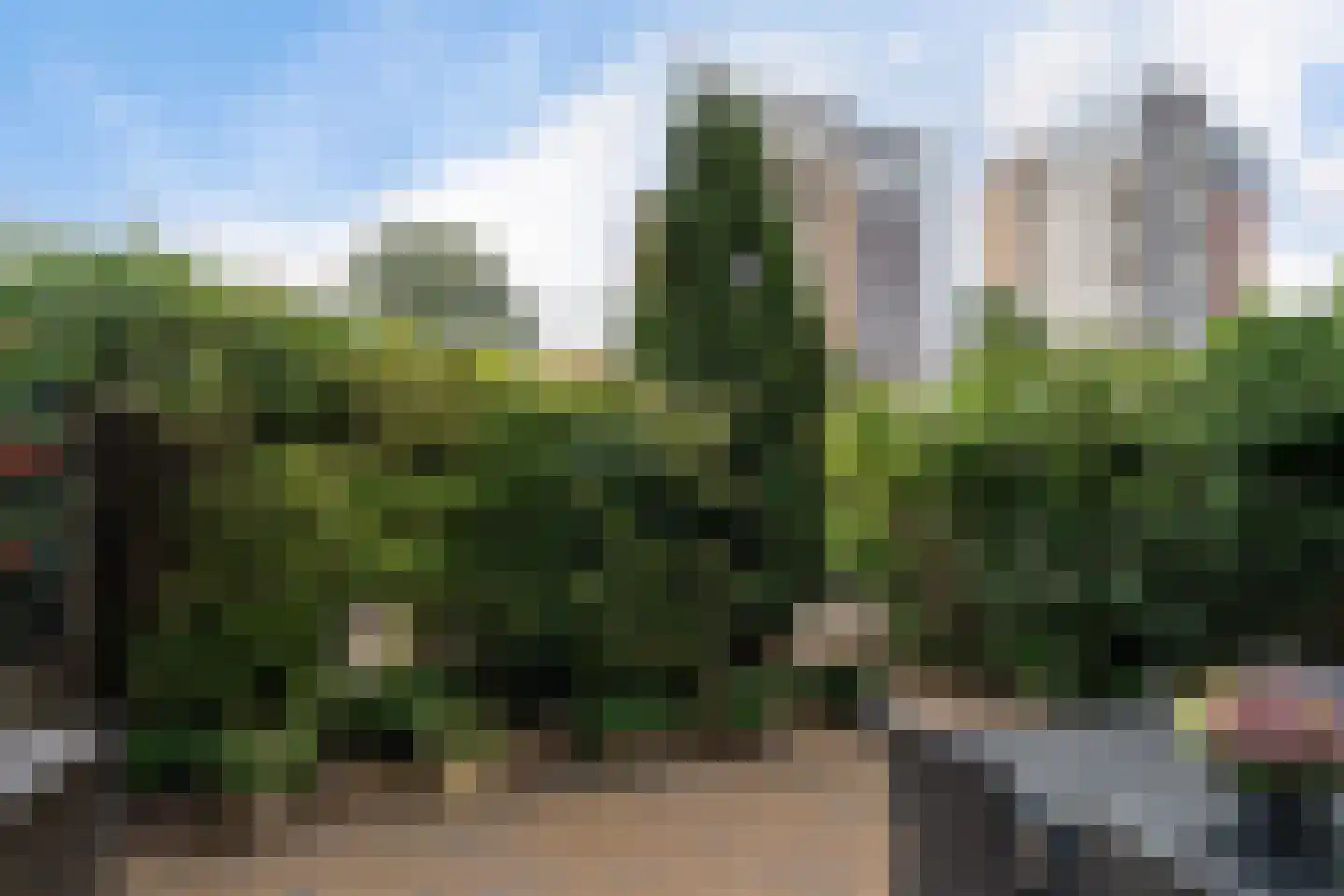 Schuddebeursstraat 92 Zoetermeer thumbnail 23