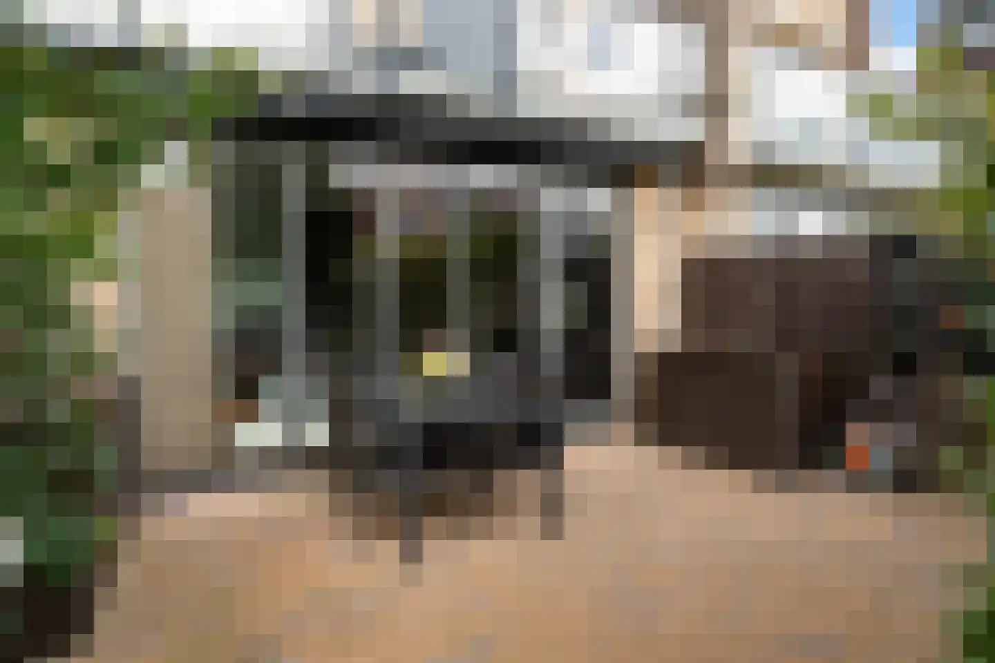 Schuddebeursstraat 92 Zoetermeer thumbnail 25