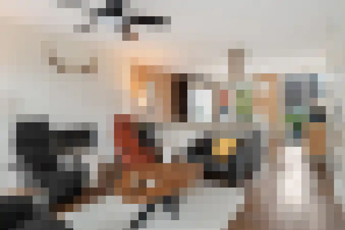 Schuddebeursstraat 92 Zoetermeer thumbnail 29