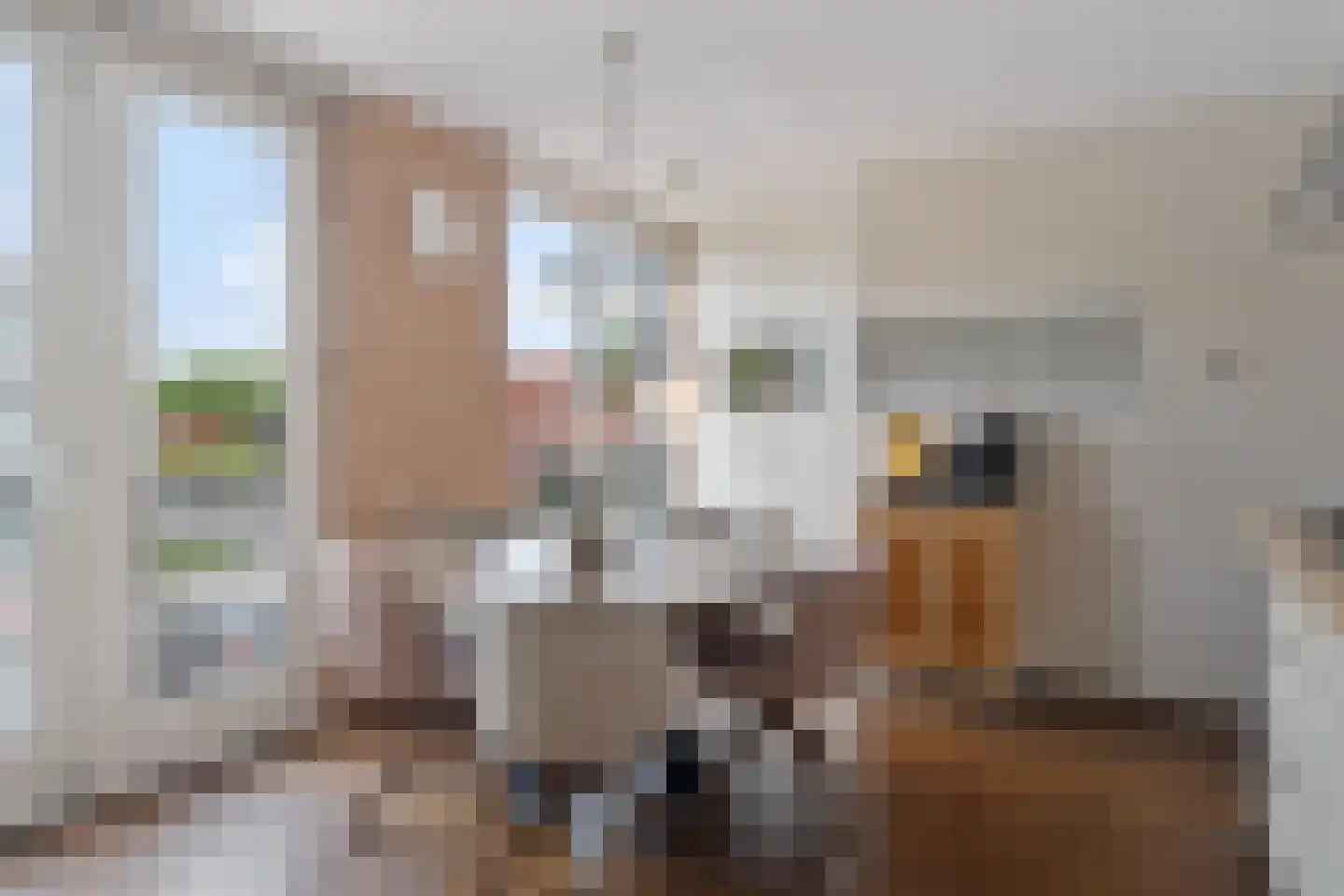 Schuddebeursstraat 92 Zoetermeer thumbnail 34