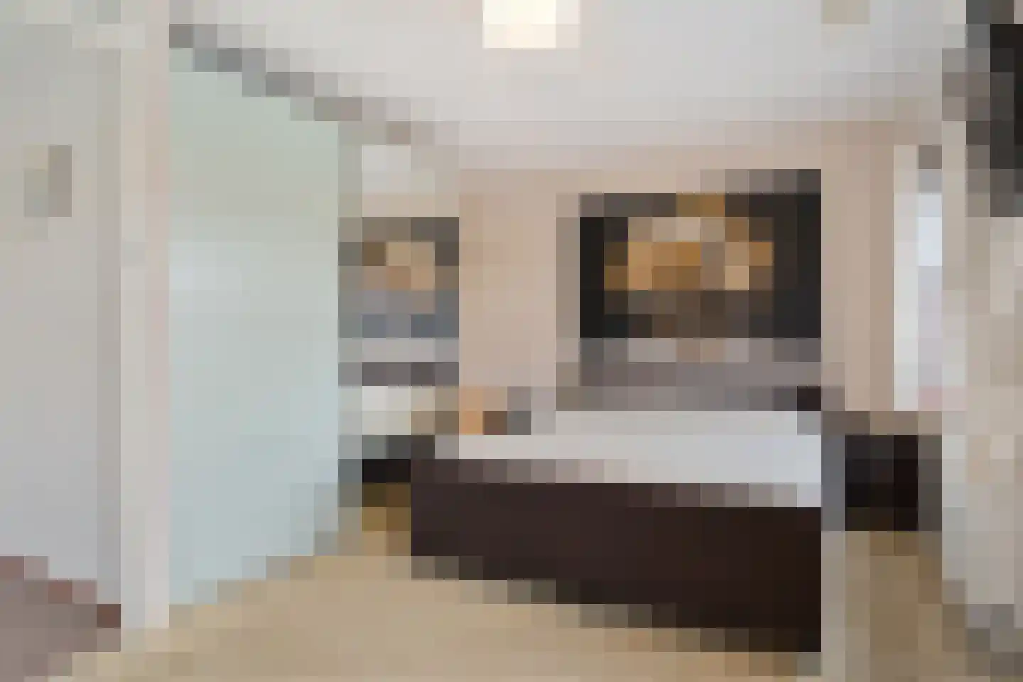 Schuddebeursstraat 92 Zoetermeer thumbnail 43