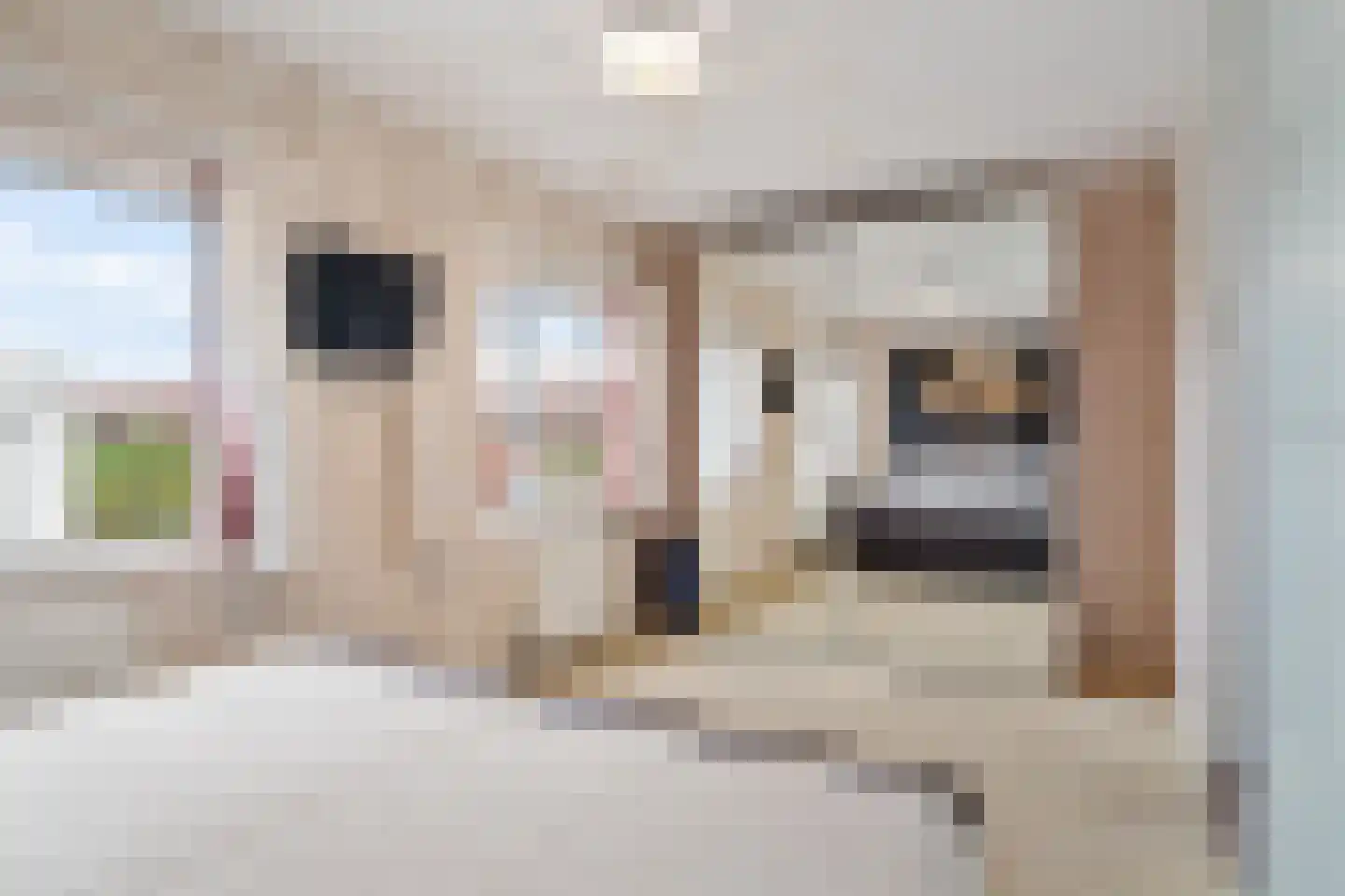 Schuddebeursstraat 92 Zoetermeer thumbnail 44