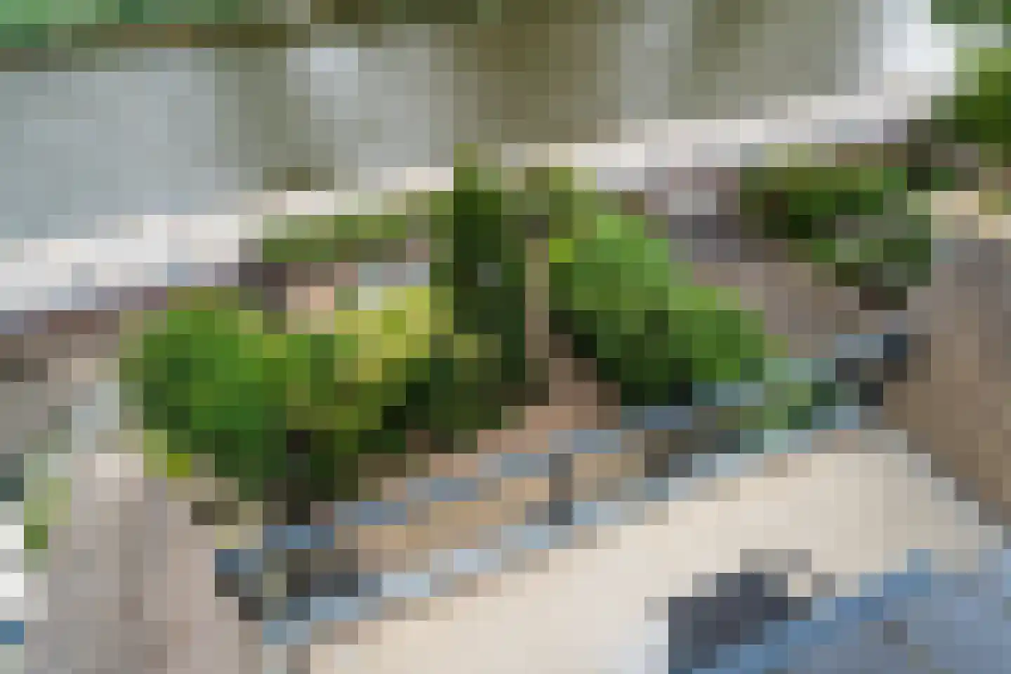 Schuddebeursstraat 92 Zoetermeer thumbnail 51