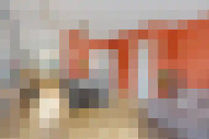 Schudegge 5 Hellevoetsluis thumbnail 9