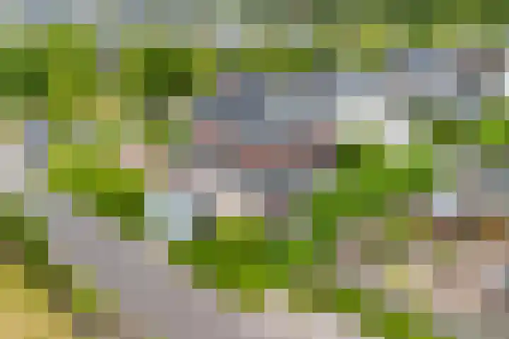 Schuifknoop 13 Almere thumbnail 101