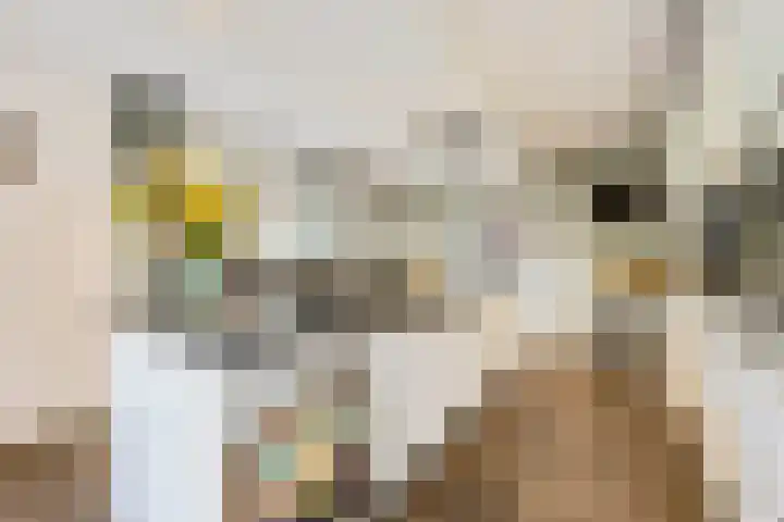 Schuifknoop 13 Almere thumbnail 16