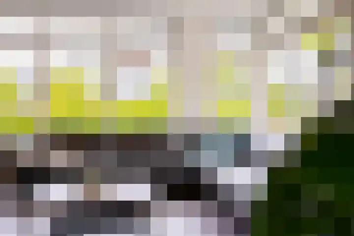 Schuifknoop 13 Almere thumbnail 27