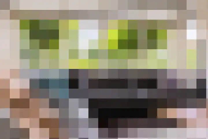 Schuifknoop 13 Almere thumbnail 30