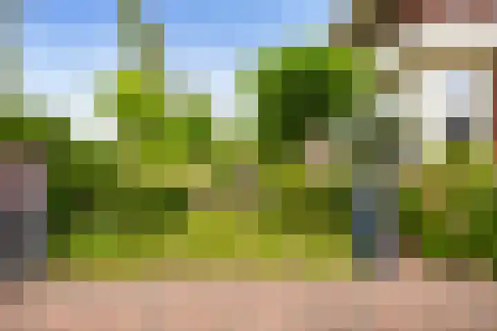Schuifknoop 13 Almere thumbnail 4