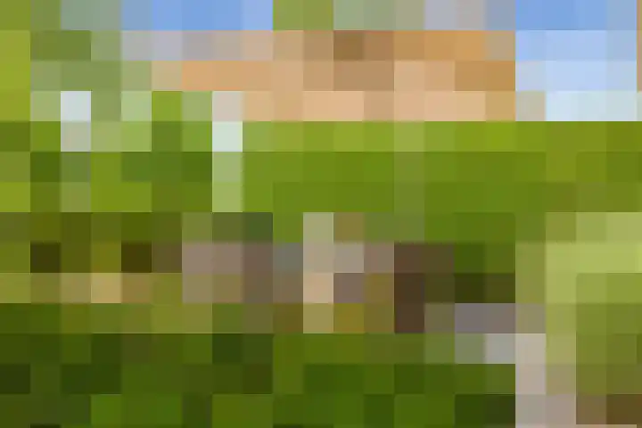 Schuifknoop 13 Almere thumbnail 5